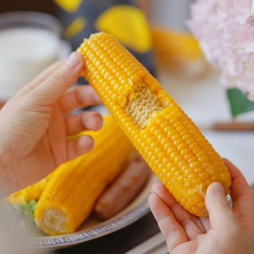 黑金时刻黄糯玉米/黑糯玉米 家庭装1.3kg/袋 商品图8