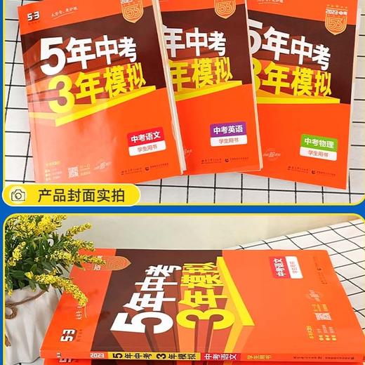 【秒杀】壹佰-53中考 语文数学英语道德与法治地理化学历史生物 2023 全国版山东专版 商品图1