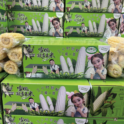 「3糯1甜 双重口感」有机雪糯凝香玉米 10根彩箱装 220g/根  高山生态种植有机白玉米 商品图5