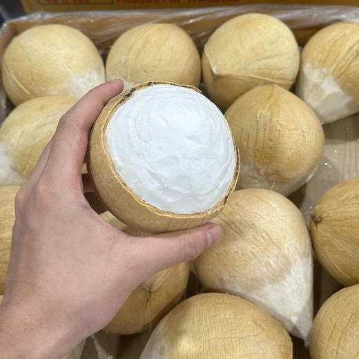 【限时活动🔥】 大果泰国奶香椰皇12个 椰香浓郁   纯天然饮料   椰子鸡必备  冰箱冷藏 商品图3