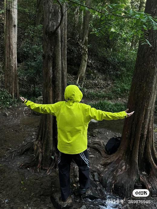 ARC鸟家Alpha SV硬壳冲锋衣 商品图8