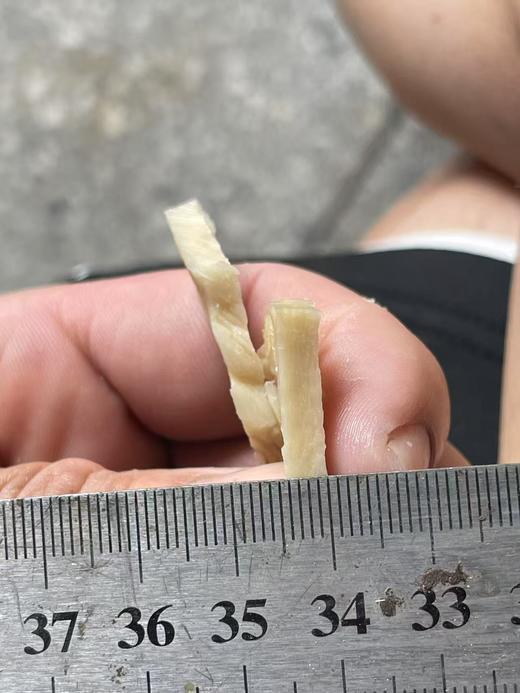 免切黄山烤笋片2斤 商品图6