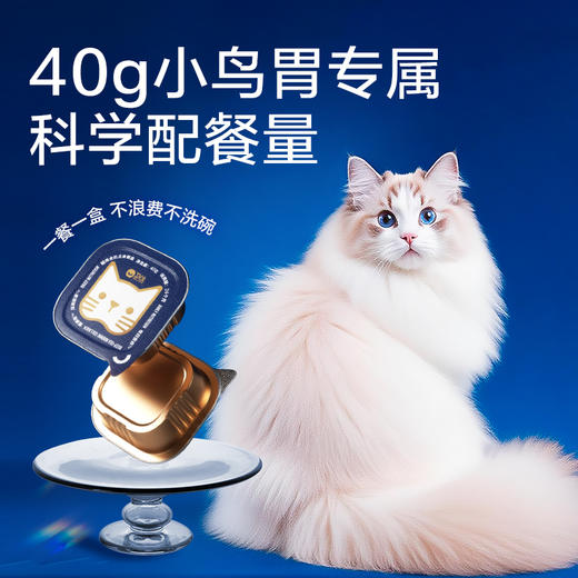 爆爆塔 深海胶原 猫用全价主食餐盒(160g)40g*4 商品图4