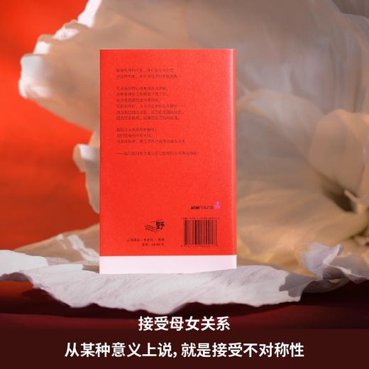 母女关系的精神分析：被支配的女儿们  |《自伤自恋的精神分析》续作，斋藤环经典作品，心理咨询师张春导读点睛。深挖母女关系的矛盾与困局，找到彼此救赎的新解法 商品图5