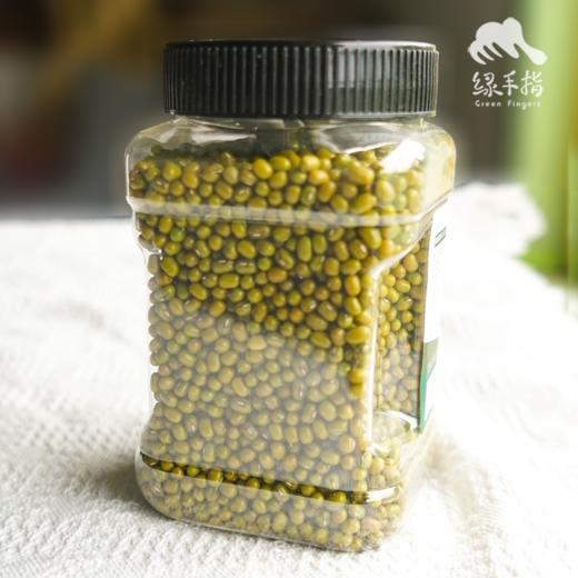 有机绿豆 | 合作生产*Organic mung beans | Partner Production 商品图2