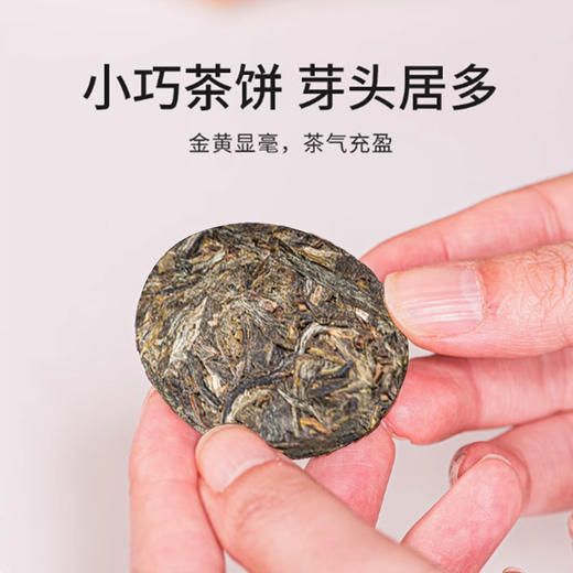 无墨记有机晒白小玉饼-云南白茶512克/盒 商品图1