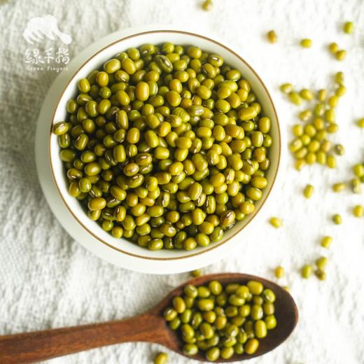 有机绿豆 | 合作生产*Organic mung beans | Partner Production 商品图1