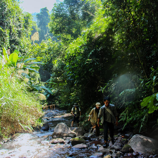 云南 | 版纳热带雨林纳卡野炊版2天1晚，户外更野！两日徒步和野炊、户外生存技能教学，户外露营/傣族野餐/捕鱼割蜂蜜/ATV越野摩托/雨林溯溪徒步/当地傣族向导！ 商品图12