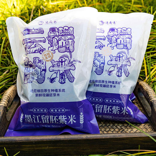 【逐南味墨江胚芽紫米】颗粒均匀 颜色紫黑 食味香甜 营养丰富 商品图0