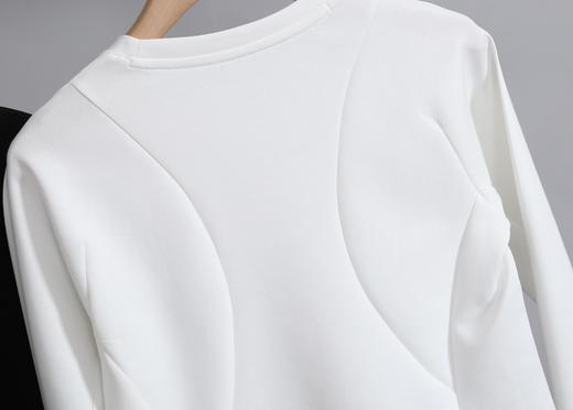 点此购买 迪桑特春季秋女子针织套头拼接收腰修身长袖运动休闲打底卫衣 37 326275 商品图12