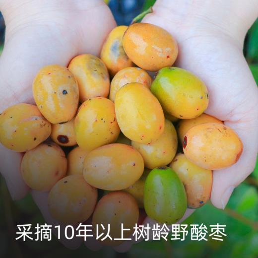 物本源 陈皮酸枣饼 0脂肪 酸甜软弹 真材实料 陈香浓郁 80g/袋 商品图2