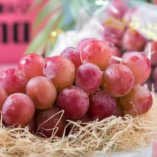 【BF】妮娜皇后129.8一斤 商品图0