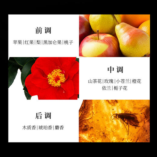 Tsubaki 丝蓓绮 焕耀奢护护发素 450ml 商品图4