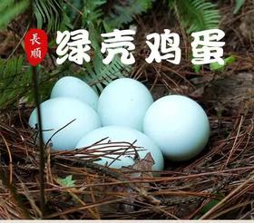 册亨县 册亨优选 绿壳鸡蛋30枚/盒