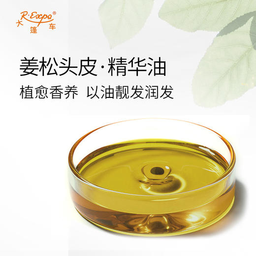 姜松头皮·精华油 头皮奢养按摩SPA精油以油养发原料批发植愈康养 商品图1