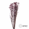 配花 | 米花紫色 商品缩略图1