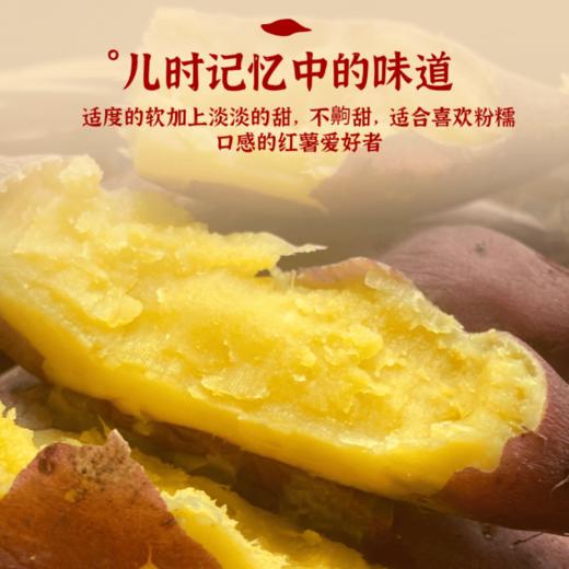 [最农公社]双12|精品红薯临安精品小香薯红薯免洗恒温糖化工厂定制清甜无丝适合水煮 商品图0