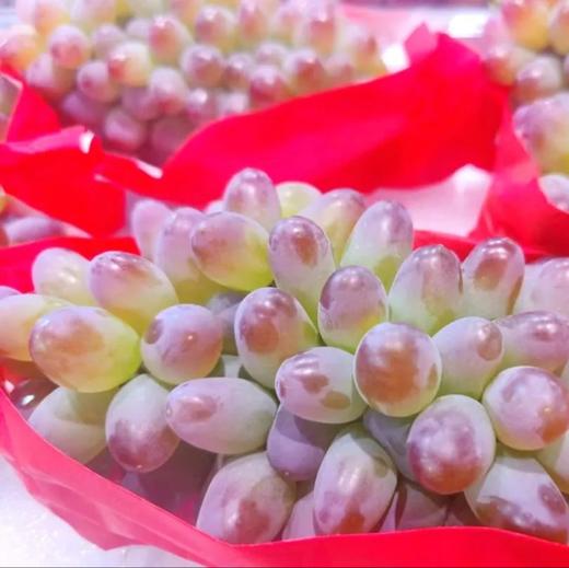 【BF】茉莉香红提39.8一斤 商品图1