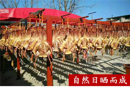 建瓯板鸭福建特产南平正宗传统全番鸭酒家饭店手工腌制咸风干 商品图5