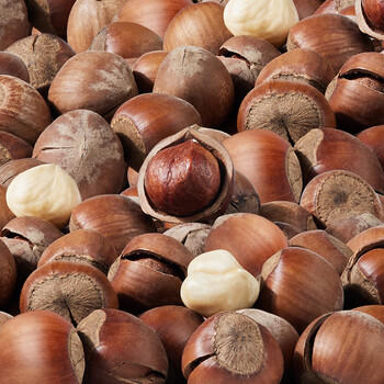 臻味高端坚果干果礼盒不忘初心1550g腰果巴旦木炒货团购企业福利送礼 /休闲食品 /坚果炒货 /坚果礼盒 商品图8