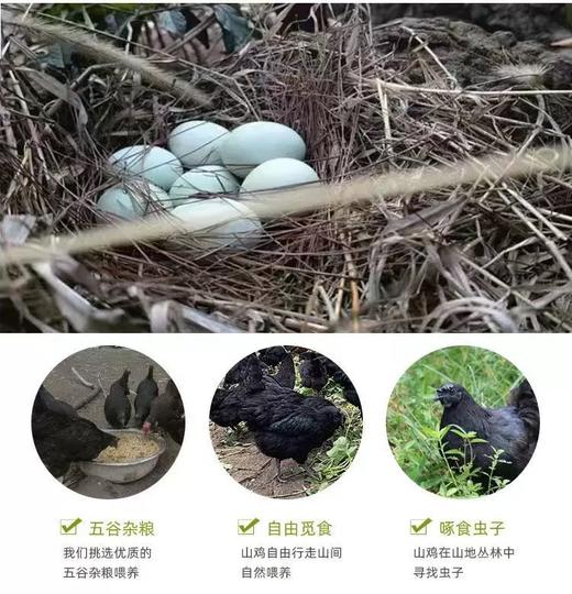 册亨县 册亨优选 绿壳鸡蛋30枚/盒 商品图1