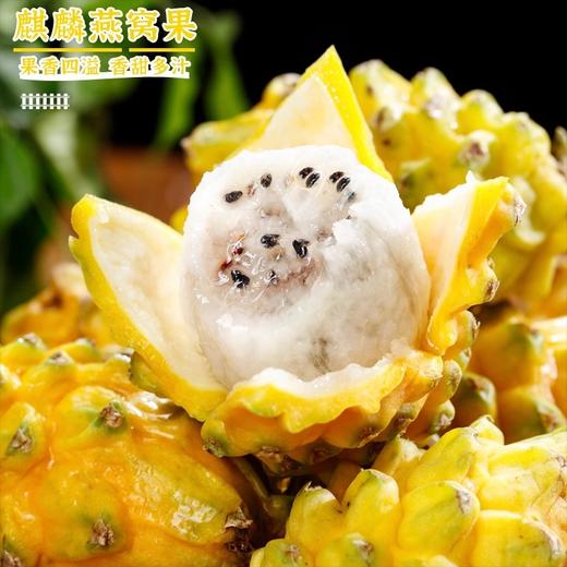 【顺丰】稀有海南燕窝果麒麟果甜如冰糖 滑如燕窝 商品图5