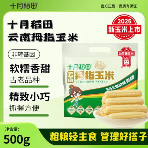 【西双版纳直采】【当季新玉米】拇指玉米/紫糯拇指玉米500g 商品图0