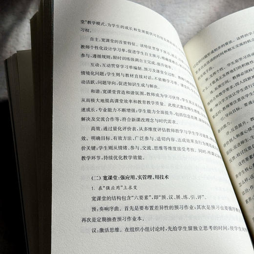 匠心学校的精神气质 王彩霞 特色学校聚焦丛书 办学理念与实践 中小学案例 商品图10