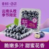 佳沃蓝莓125G 商品缩略图0