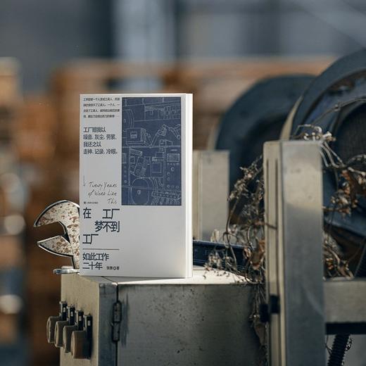 在工厂梦不到工厂 张赛 著 非虚构 纪实 工人自书 中国工厂 留守儿童 打工爸爸 文学相伴 教育实践 呐喊 上海译文出版社 正版 商品图5