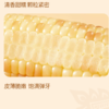 【西双版纳直采】十月稻田 云南小花糯玉米1.2kg（约6-7根）当季新玉米 商品缩略图5