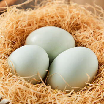 红太阳 高邮正宗咸鸭蛋奎级 20枚*65g 礼盒装 高邮特产咸淡适中  /休闲食品 /蛋类制品 /鸭蛋类 商品图5