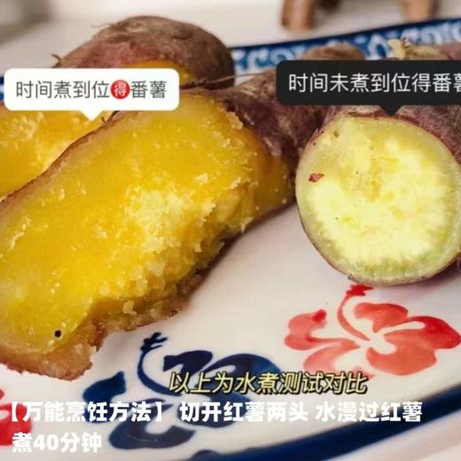 [最农公社]双12|精品红薯临安精品小香薯红薯免洗恒温糖化工厂定制清甜无丝适合水煮 商品图7