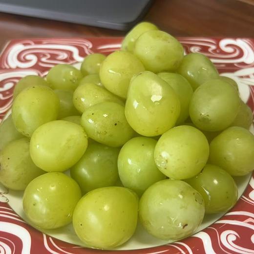 【深圳光明】阳光玫瑰葡萄 现摘现发 5斤装 商品图2