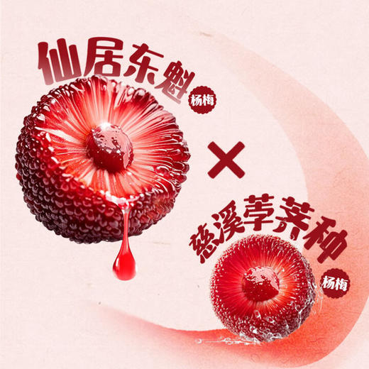 味动力益生菌杨梅汁 300mL*10瓶【LY】 商品图1