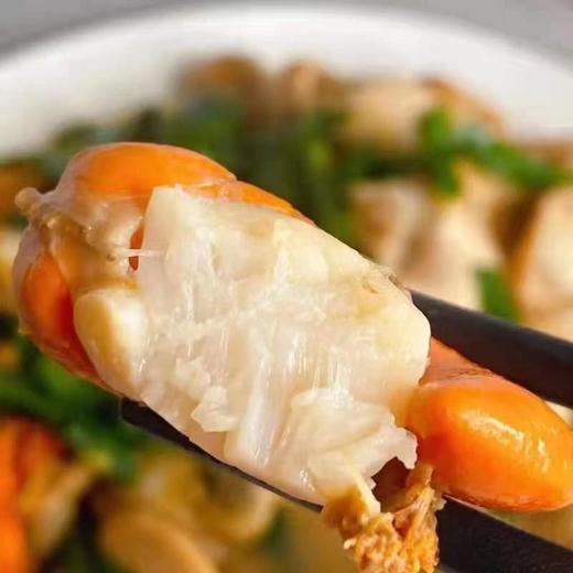 【顺丰快递】无冰衣山东栉孔鲜活扇贝肉 带黄完整贝肉 0泡药0添加 个头不缩水  肉厚肥美 - 文泰 商品图3