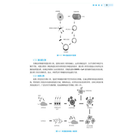 生物技术制药概论 第5五版 全国高等医药院校药学类专业第六轮规划教材 姚文兵 主编 供药学类生物制药等专业用中国医药科技出版社 商品图4