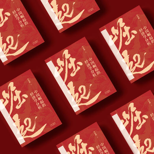 《中国崛起的经济学分析》 商品图2