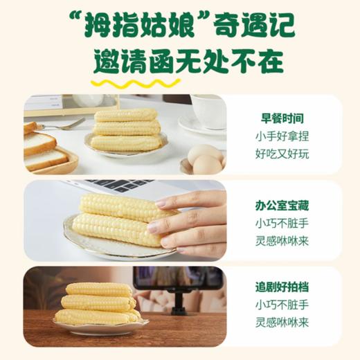 【西双版纳直采】【当季新玉米】拇指玉米/紫糯拇指玉米500g 商品图6