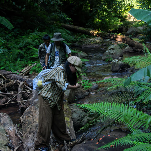 云南 | 版纳热带雨林纳卡野炊版2天1晚，户外更野！两日徒步和野炊、户外生存技能教学，户外露营/傣族野餐/捕鱼割蜂蜜/ATV越野摩托/雨林溯溪徒步/当地傣族向导！ 商品图7