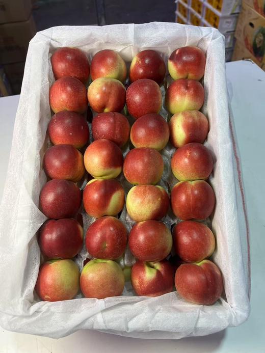 新疆珍珠枣蜜桃 油桃 商品图7