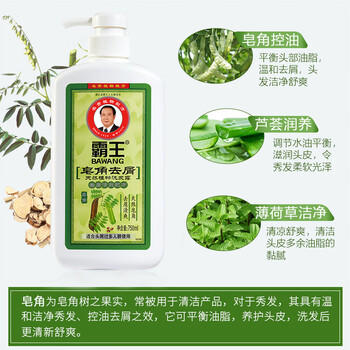 霸王洗发水皂角去屑洗发露750ml （清爽控油 去屑止痒 洗头膏洗头水） /个人护理 /洗发护发 /洗发水 商品图0