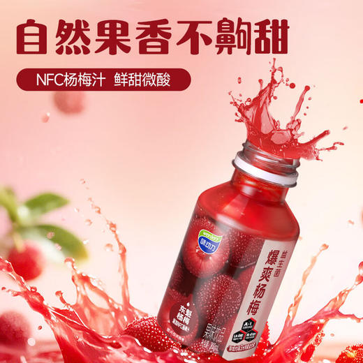 味动力益生菌杨梅汁 300mL*10瓶【LY】 商品图3