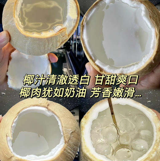 【限时活动🔥】 大果泰国奶香椰皇12个 椰香浓郁   纯天然饮料   椰子鸡必备  冰箱冷藏 商品图2