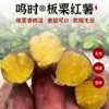 [最农公社]双12|精品红薯临安精品小香薯红薯免洗恒温糖化工厂定制清甜无丝适合水煮 商品缩略图4