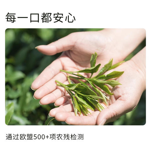 册亨优选 贵茶欧标抹茶3#盒装45g/盒 商品图4