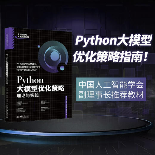 Python大模型优化策略：理论与实践 刘衍琦，高超 ，闫家硕 ，贾泽豪 著 北京大学出版社 商品图1