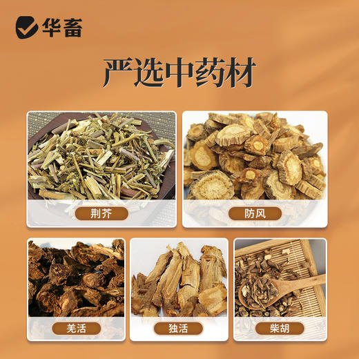 【社群专享】华畜荆防败毒散感冒流感兽用清瘟解毒中药扶正猪牛羊鸡鸭正品兽药 商品图2