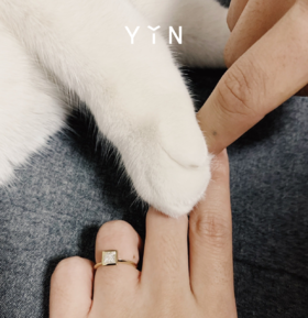  #我的金色纹身# | “你是我的全世界呀 Awwwww”