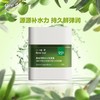 一叶子橄榄芽鲜补水保湿霜50g  54518 商品缩略图4